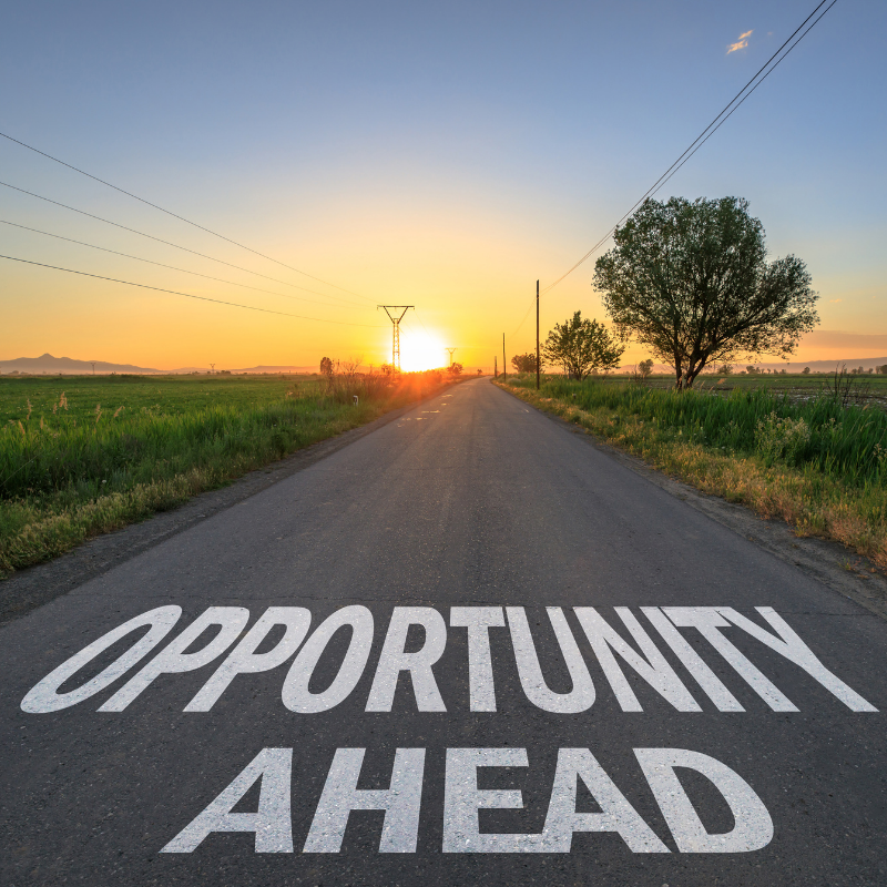 Seeking Opportunity